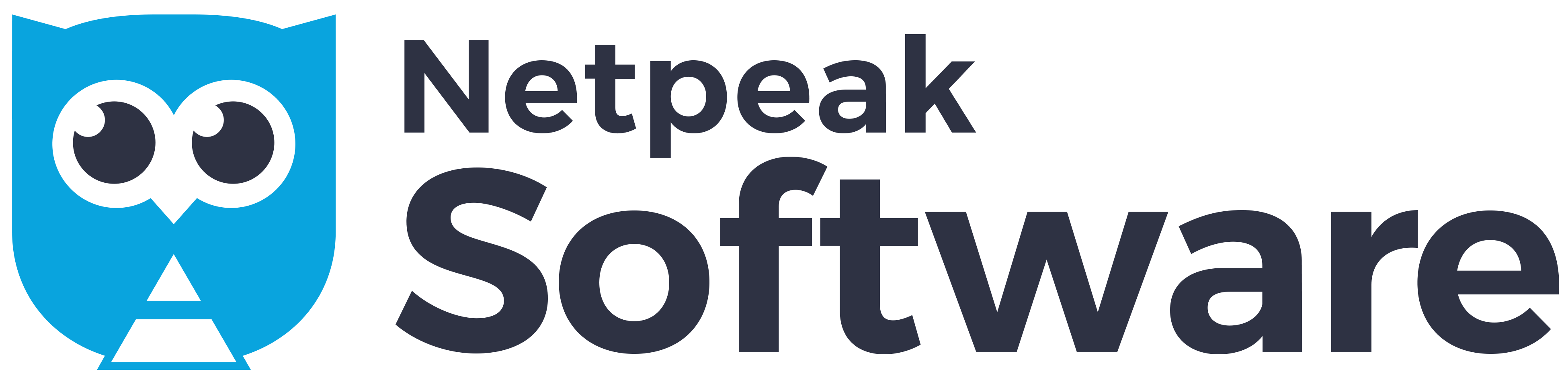 Netpeak Software